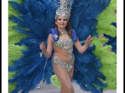 Carnaval de Mula 2014